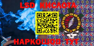 твердый Бийск