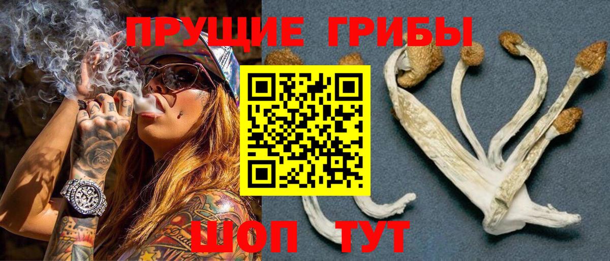 Псилоцибиновые грибы прущие грибы  Вход с VPN  Аргун 