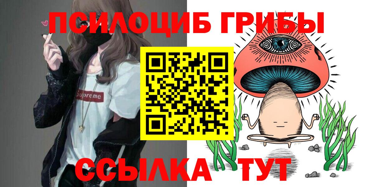 Псилоцибиновые грибы Psilocybine cubensis Аргун