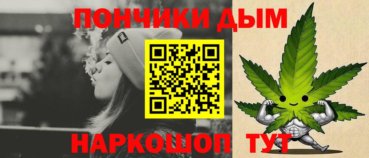 Конопля конопля Аргун